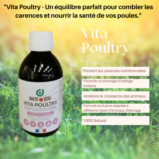 Vita Poultry - Un équilibre parfait pour combler les carences et nourrir la santé de vos poules.