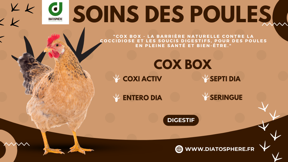 Cox Box - La barrière naturelle contre la coccidiose et les soucis digestifs, pour des poules en pleine santé et bien-être.