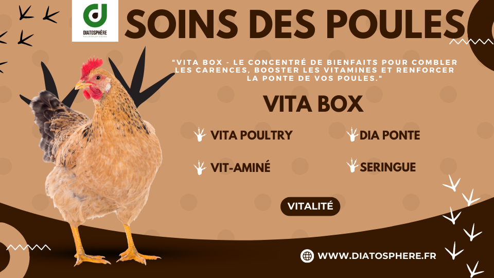 Vita Box - Le concentré de bienfaits pour combler les carences, booster les vitamines et renforcer la ponte de vos poules.