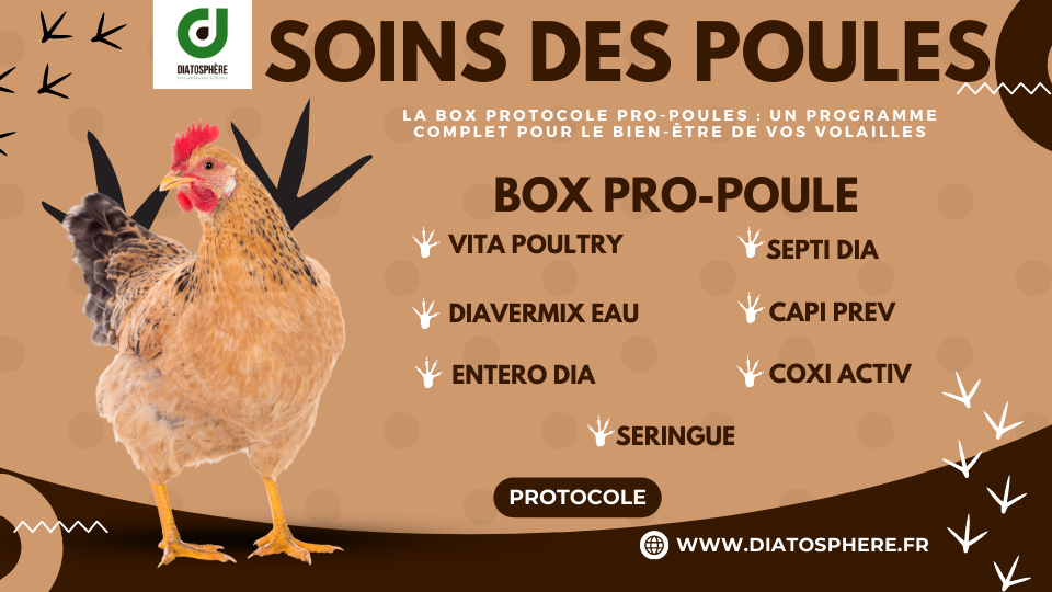 La Box Protocole Pro-Poules  Un programme complet pour le bien-être de vos volailles (1)