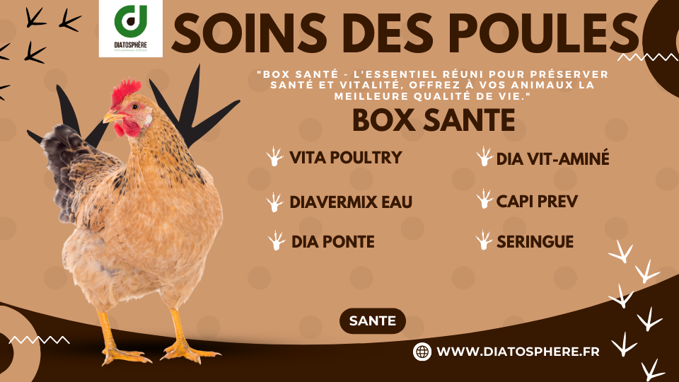 Box Santé - L'essentiel réuni pour préserver santé et vitalité, offrez à vos animaux la meilleure qualité de vie.