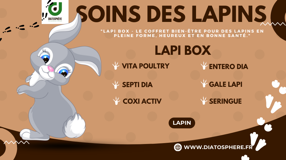 LAPI BOX - Le coffret bien-être pour des lapins en pleine forme, heureux et en bonne santé.