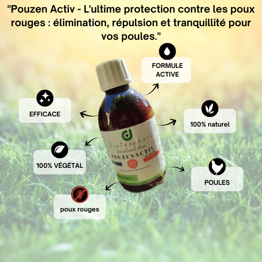 Pouzen Activ : Éliminez les poux de poule rapidement