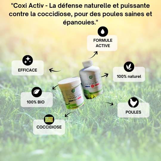 Coxi Activ - La défense naturelle et puissante contre la coccidiose, pour des poules saines et épanouies.