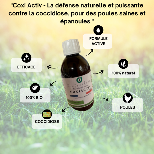 Coxi Activ - La défense naturelle et puissante contre la coccidiose, pour des poules saines et épanouies. (1)