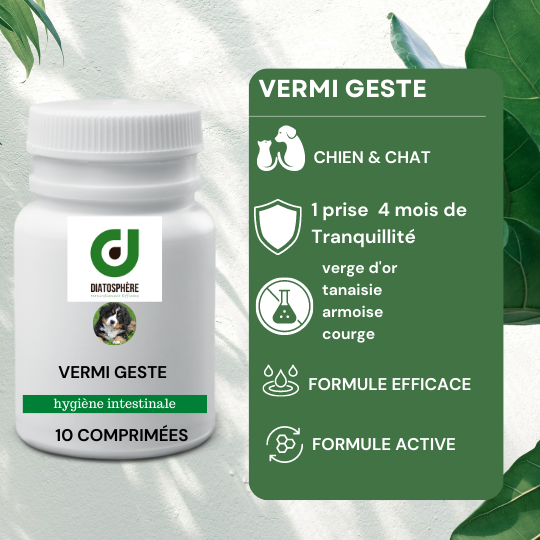 Vermi Geste : Un geste efficace pour le vermifuge des chats et chiens