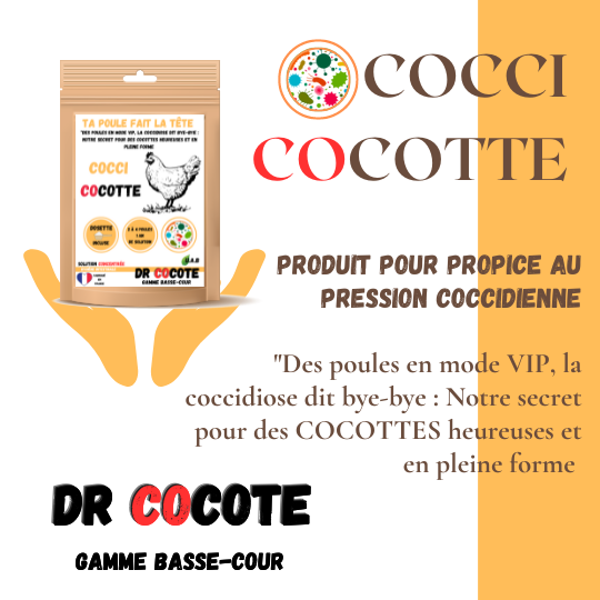 Cocci Cocotte Traitement naturel de la coccidiose Soins pour poules Santé des poules Traitement des poules coccidiosées Produit naturel volaille