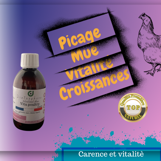 Vita Poultry - Un équilibre parfait pour combler les carences et nourrir la santé de vos poules.