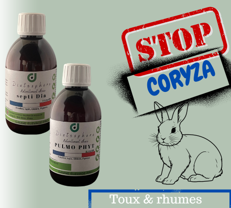 stop coryza lapins  (1)