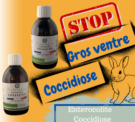 stop gros ventre du lapins et coccidiose Lapins  (1)
