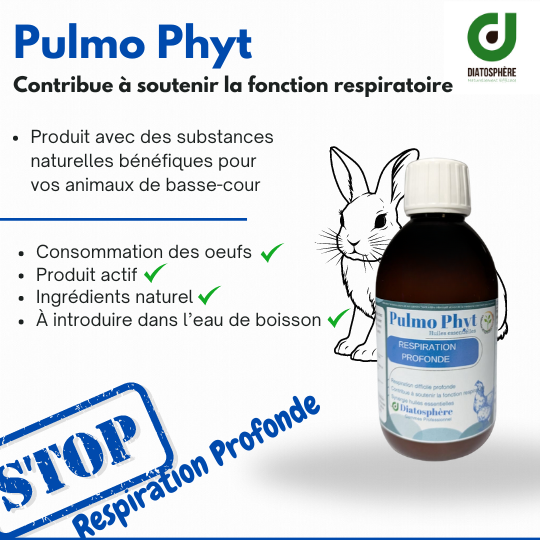Pulmo Phyt Lapin - Soutien Naturel Du Confort Respiratoire