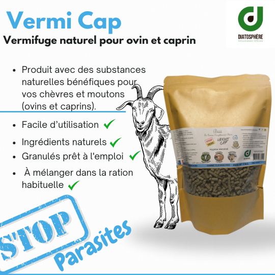 Vermicap : Vermifuge pour moutons, pour ovins, Caprins et Chèvres Naines