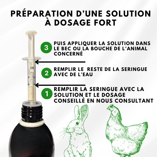 CoxiActiv Traitement naturel coccidiose poule (alternative pharmacie) — free download
