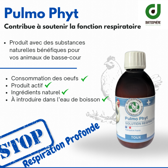 Pulmo Phyt - Traitement Naturel du Coryza et des Fragilités Respiratoires pour les poules