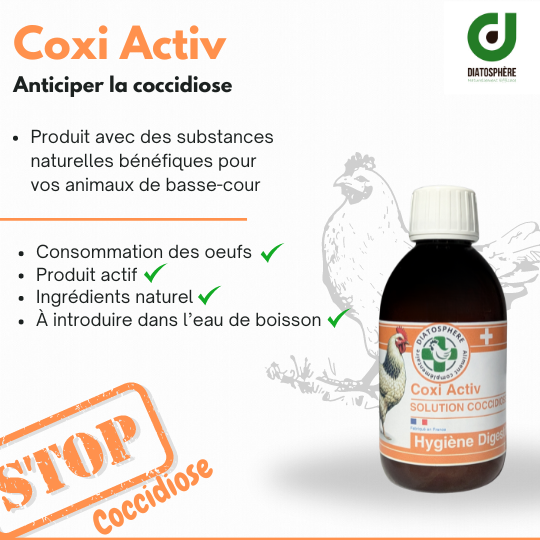Coxi Activ – Confort Digestif Naturel pour Poules et Poussins