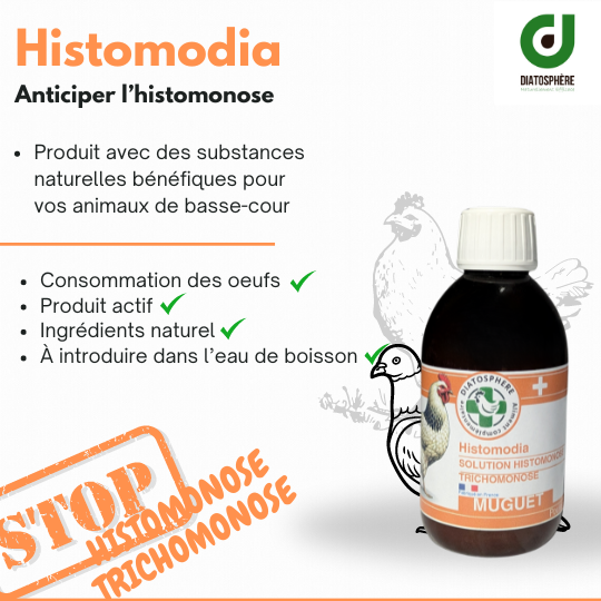 Histomodia – Soutien Naturel pour l'Équilibre Digestif et Respiratoire des Volailles