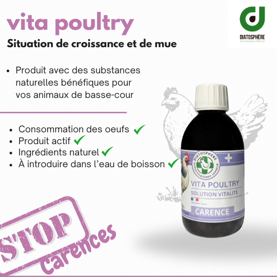 Vita Poultry - Un équilibre parfait pour combler les carences et nourrir la santé de vos poules.