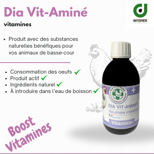 Dia Vit-Aminé