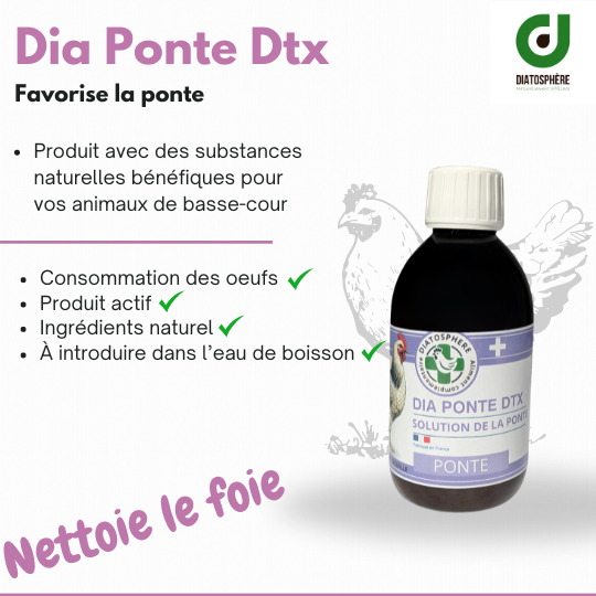 Diaponte DTX : La solution naturelle pour la santé et la productivité de vos poules