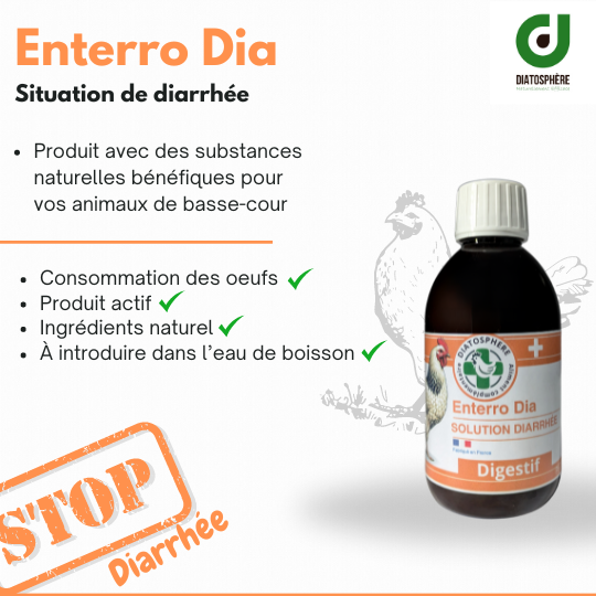 Enterro Dia – Soutien Naturel En Cas De Selles Liquides Ou Visqueuses Chez La Poule