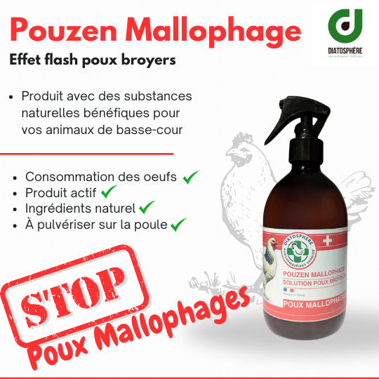 Pouzen Mallophage
