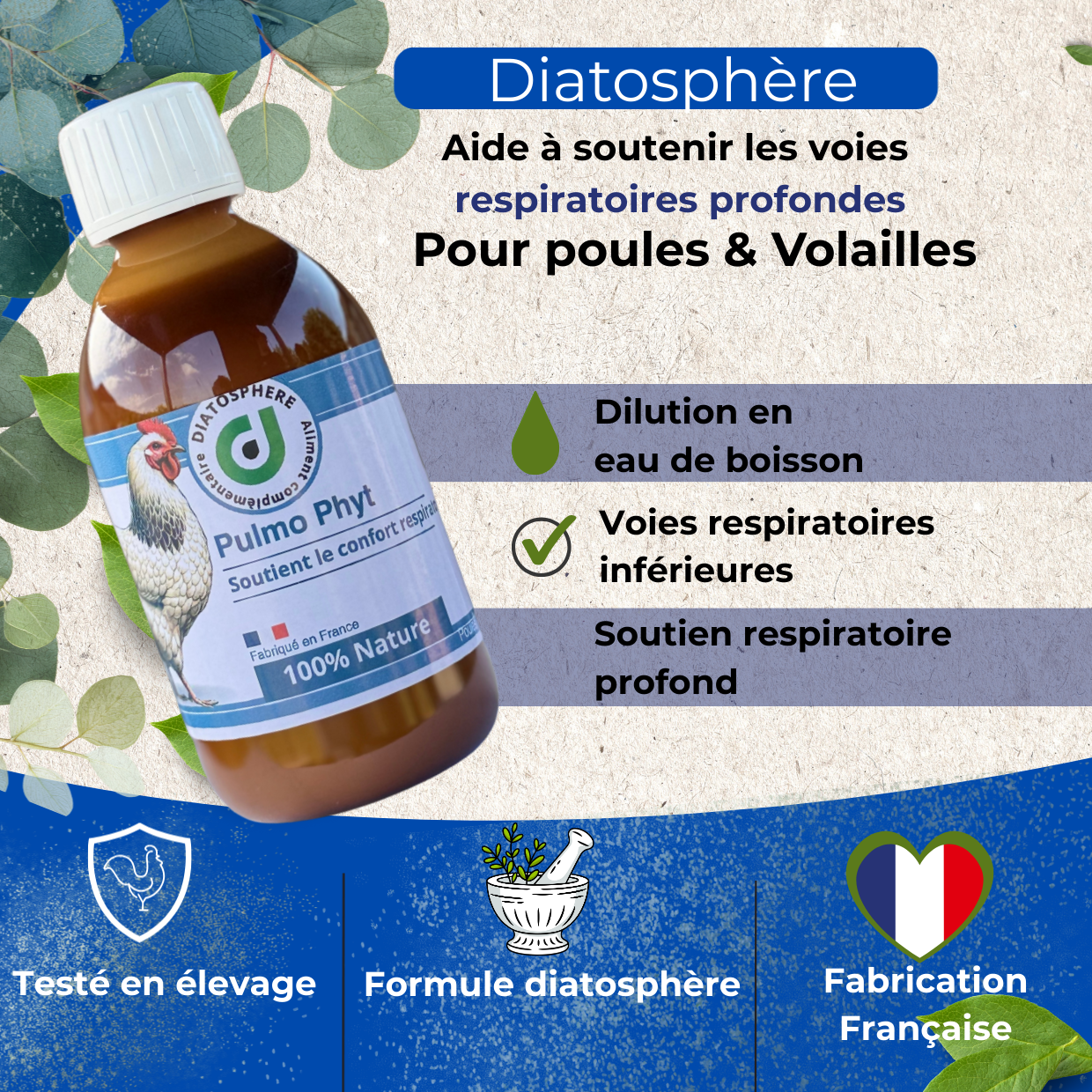 Pulmo Phyt – Traitement naturel du coryza et des troubles respiratoires chez la poule