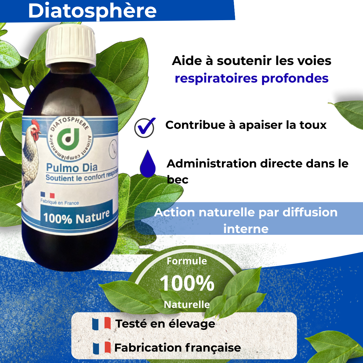 Action naturelle de décongestion des voies respiratoires chez les volailles par voie orale