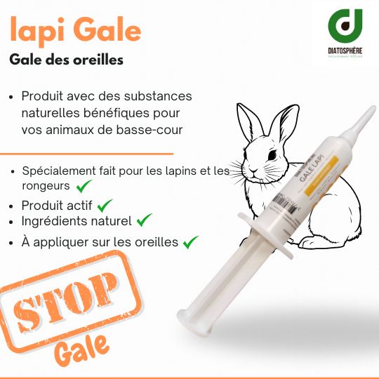 gale lapi pour la gale des oreilles du lapin