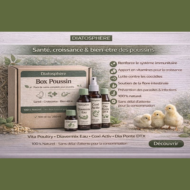 box-poussin-diatosphere-pour-soins-naturels-des-poussins
