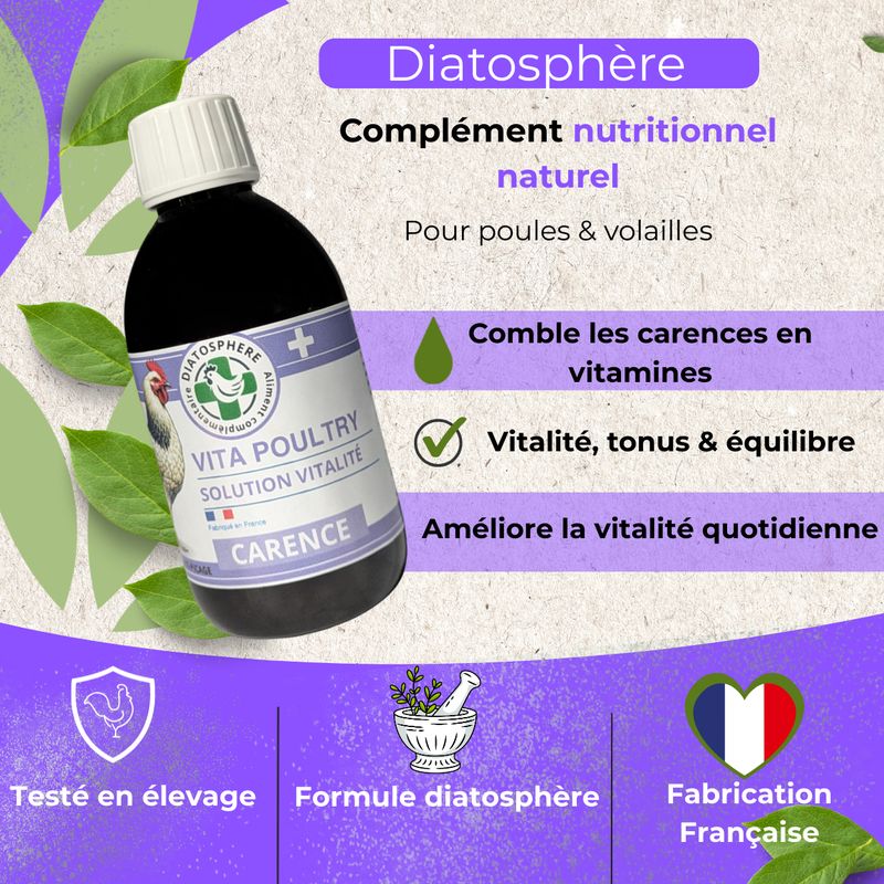 complement-nutritionnel-naturel-pour-combler-les-carences-vitaminiques-des-poule
