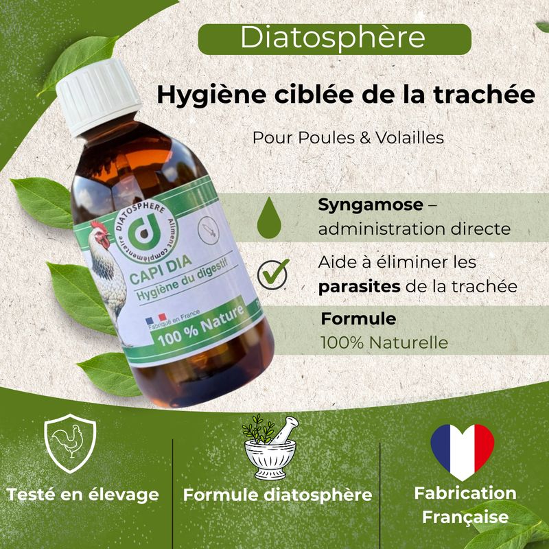 Capi Dia — Syngamose et Capillariose Poule : Traitement Vermifuge Naturel Vers de Trachée et Jabot
