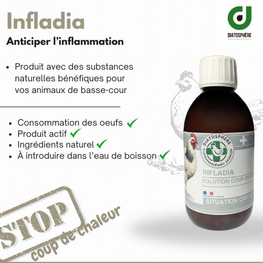 infladia anti inflammatoire