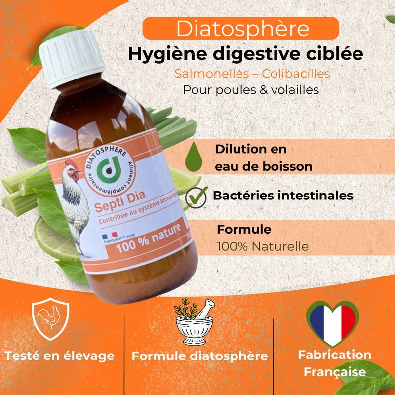 Septi Dia – Complément Naturel Polyvalent pour le Système Digestif et Respiratoire