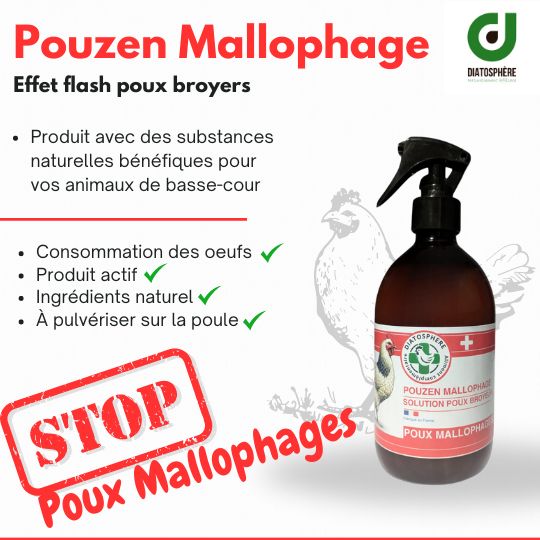 Pouzen Mallophage – Lotion naturelle anti-poux pour poules