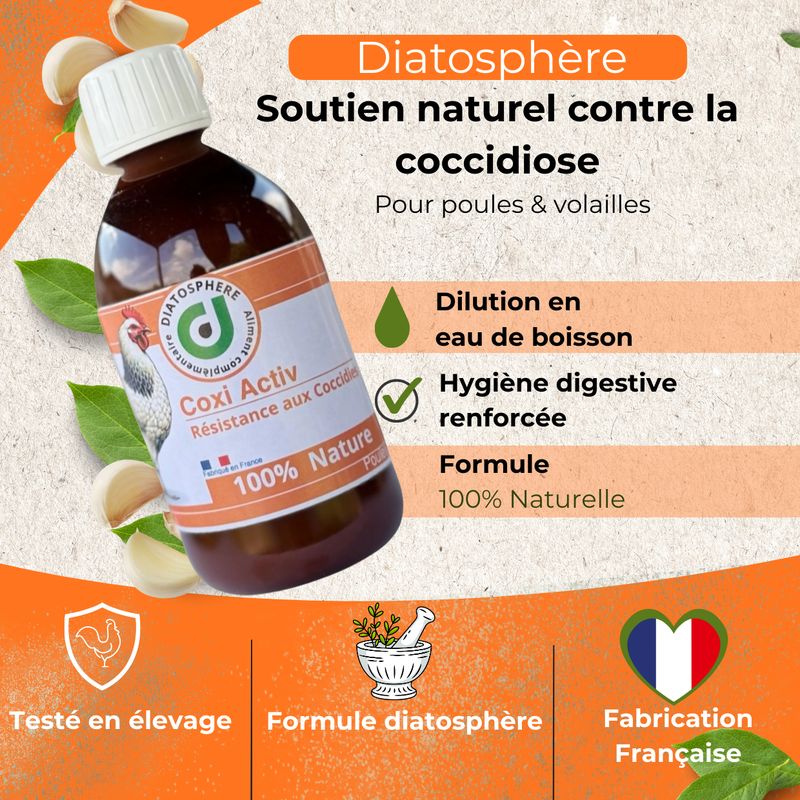 anti coccidien pour les poule et poussin