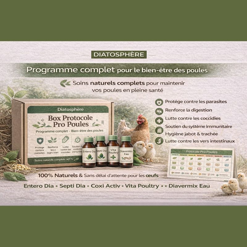 Box Protocole Pro Poules – Programme Complet de Soins Naturels pour Volailles