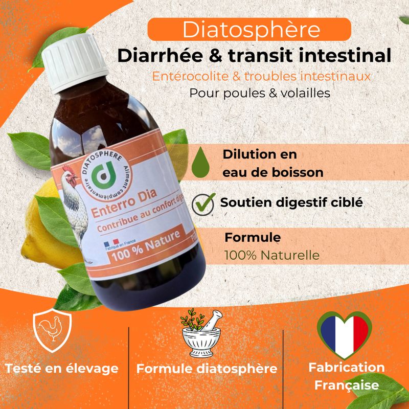 Enterro Dia – traitement Diarrhée de la poule