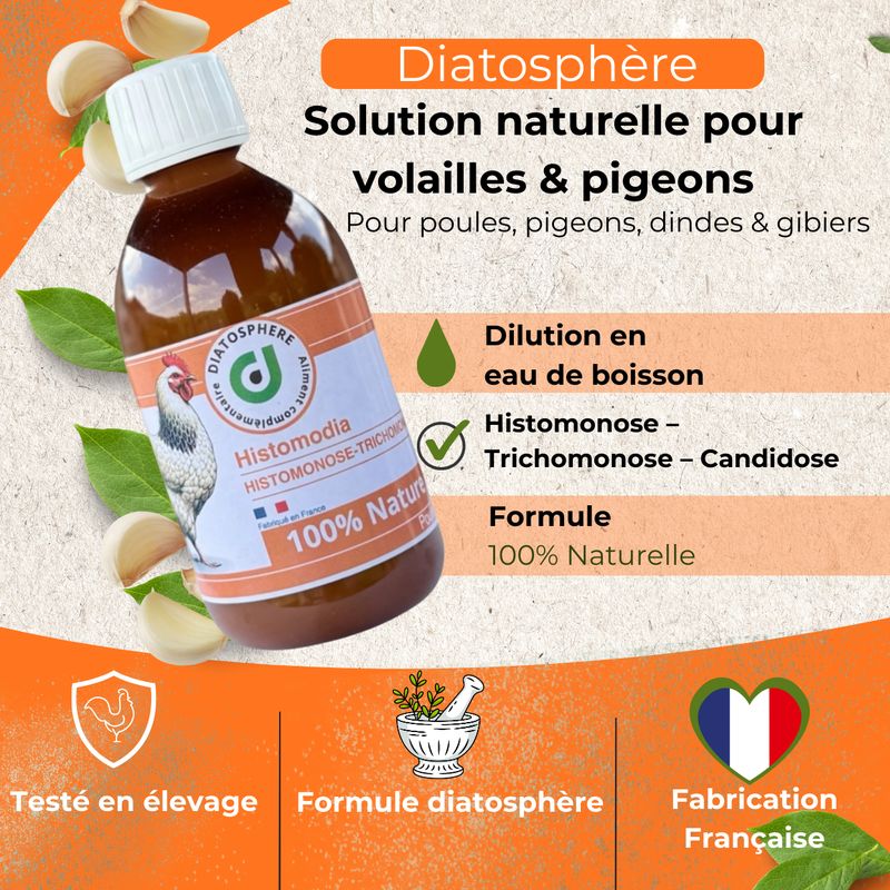 solution-naturelle-pour-histomonose-trichomonose-et-candidose-chez-volailles-et-