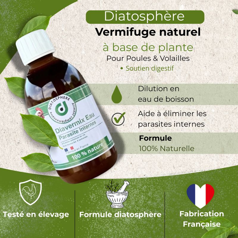 vermifuge-naturel-a-base-de-plantes-pour-poules-et-volailles