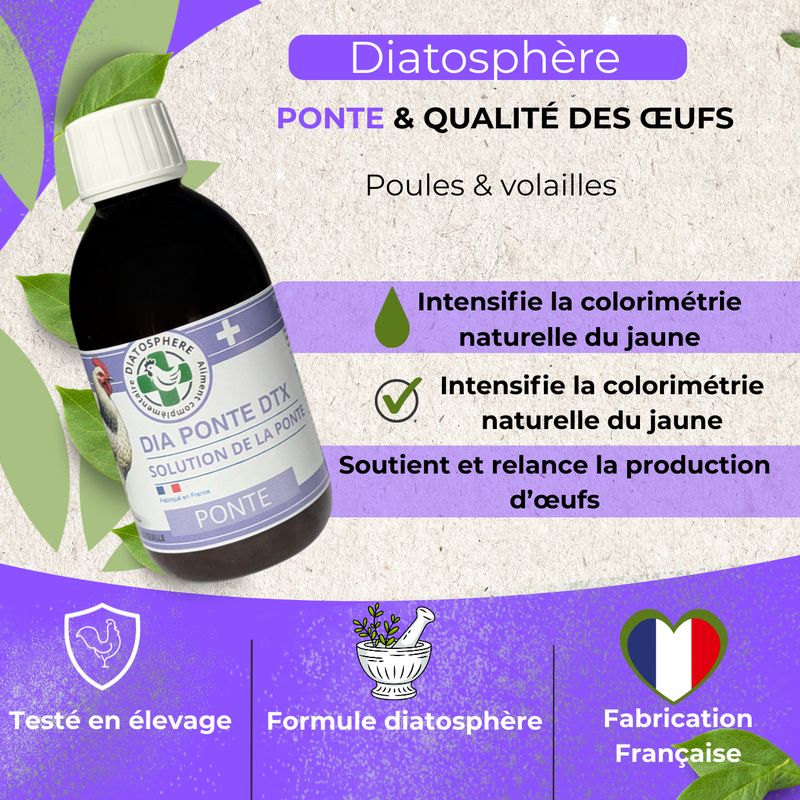 detoxification-naturelle-du-foie-chez-les-poules-et-volailles-pour-soutenir-la-f