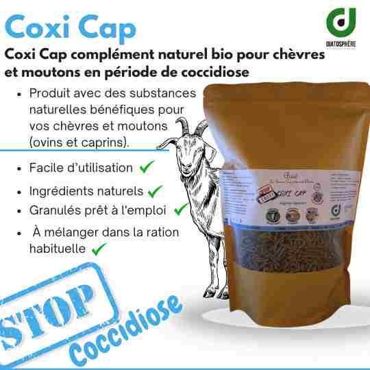 Coxi Cap- produit contre la coccidiose des chèvre et mouton