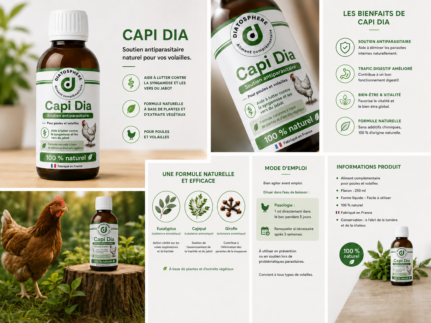 capi dia de diatosphère