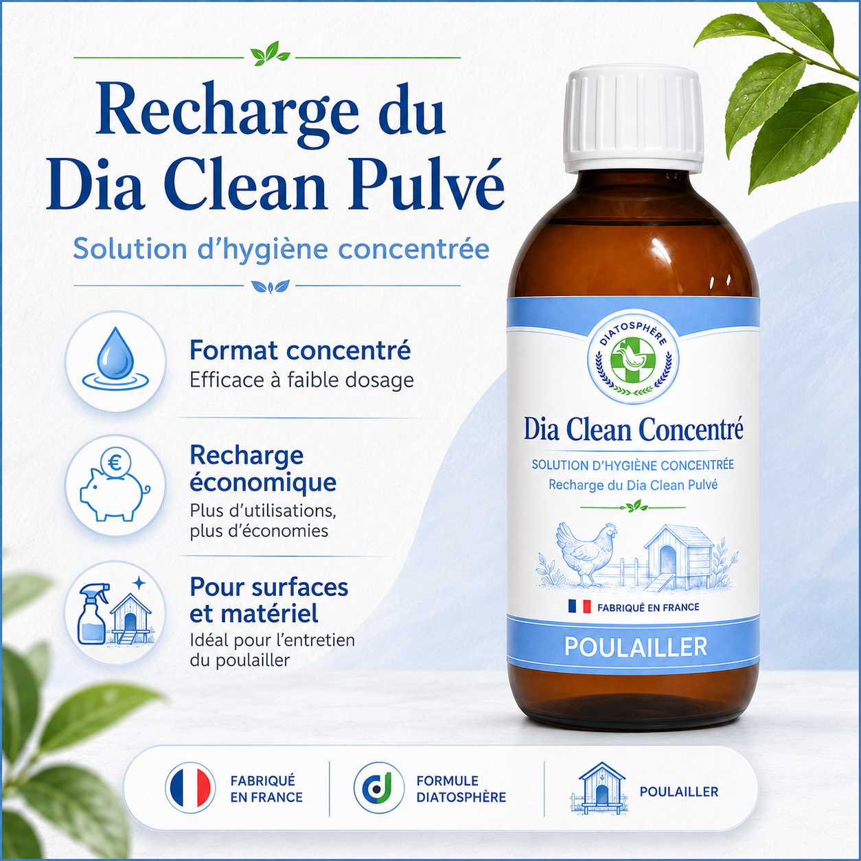 Recharge de solution Dia Clean