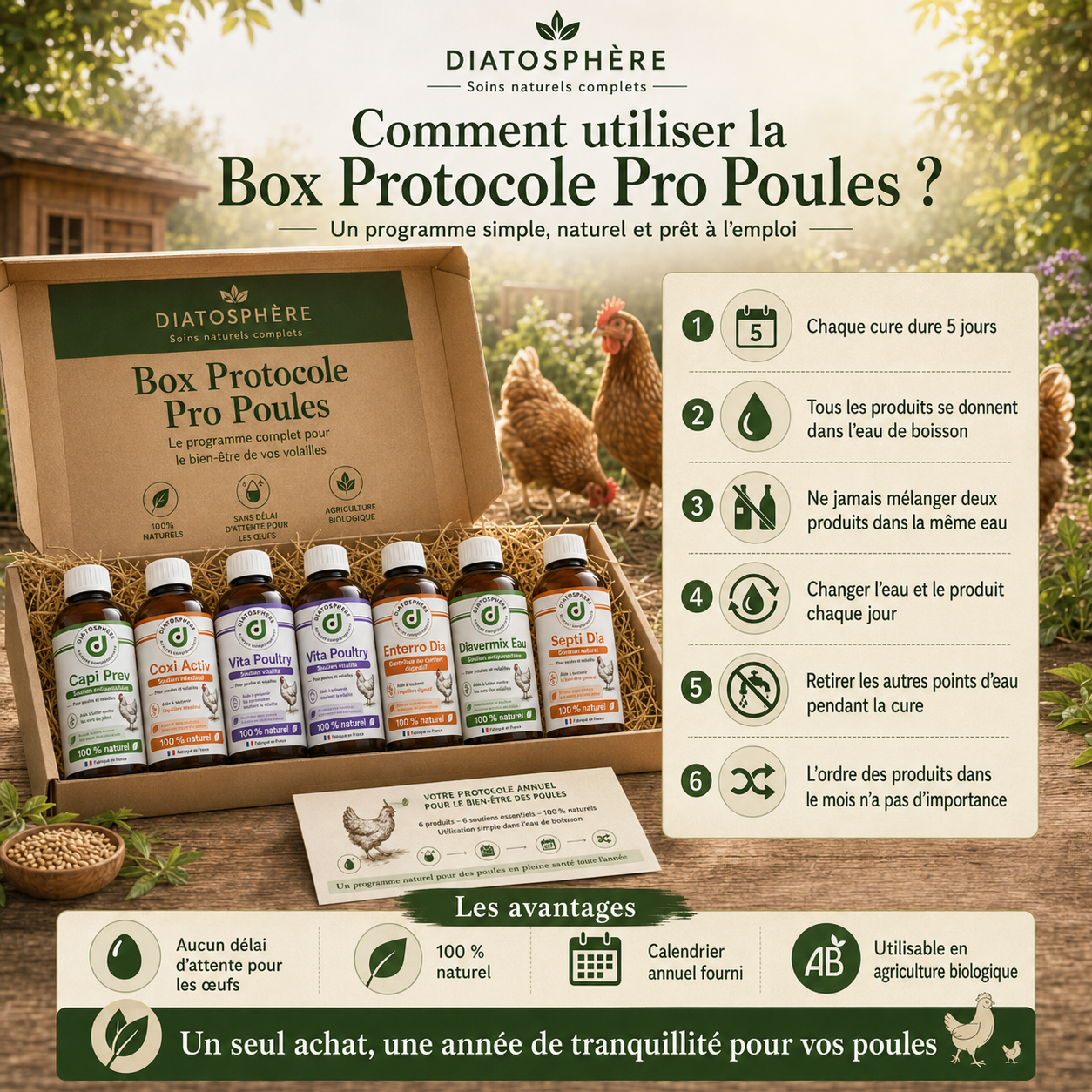 Bien-être naturel pour vos poules