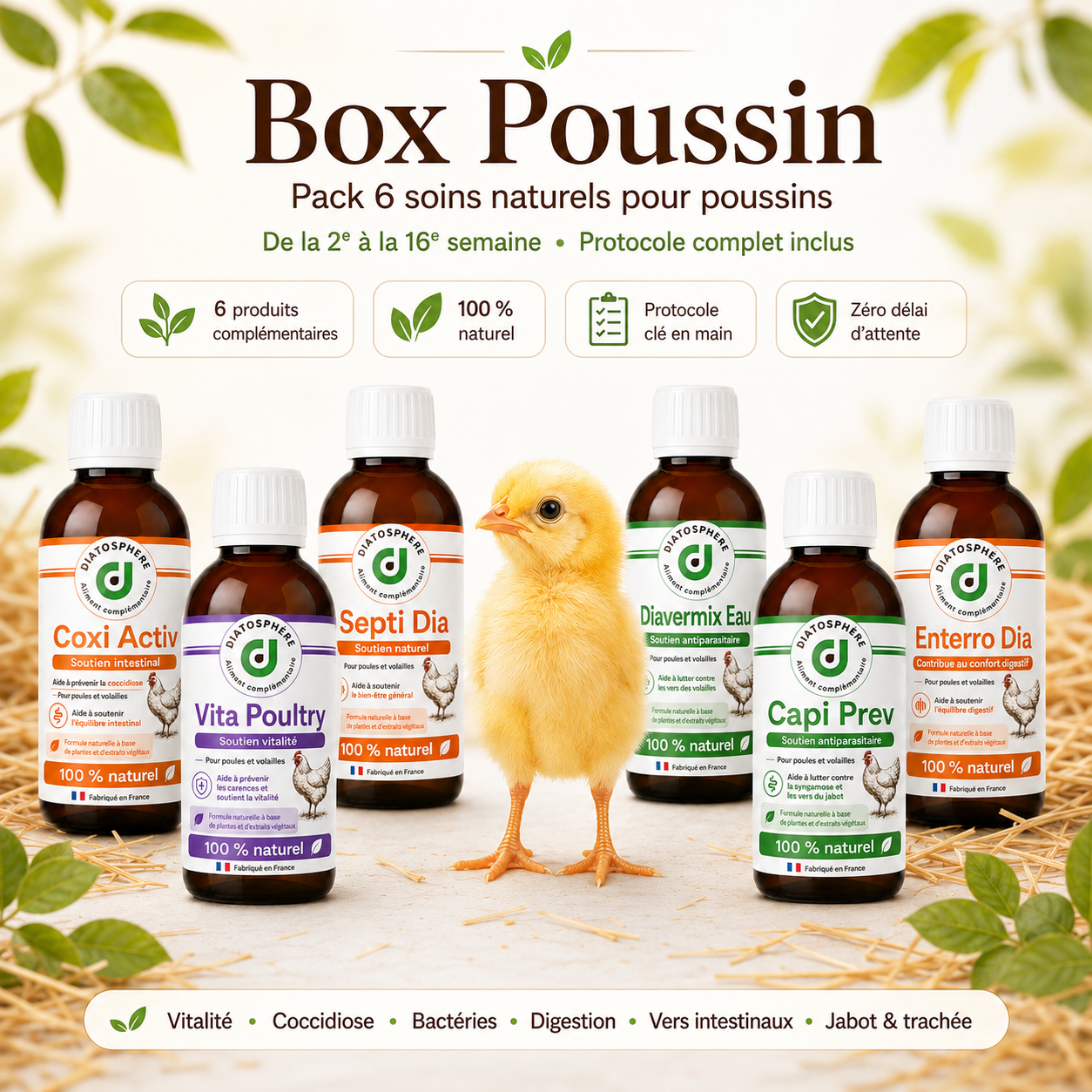 Box Poussin – 6 soins naturels pour bien démarrer