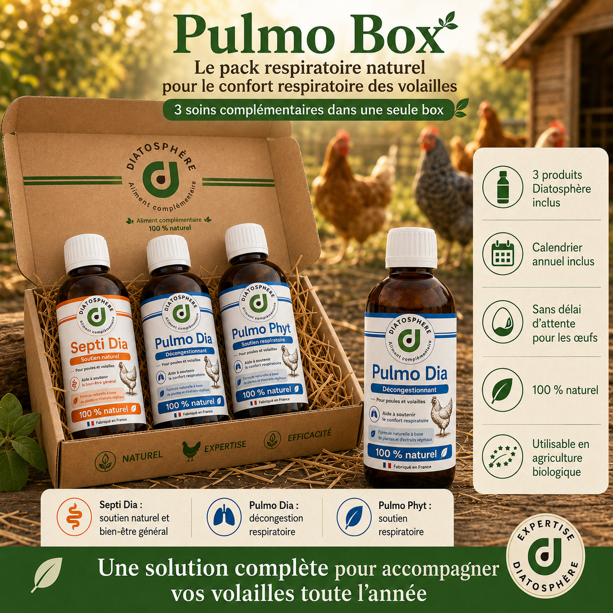 pulmo box  soint complet pour traiter le coryza des poules