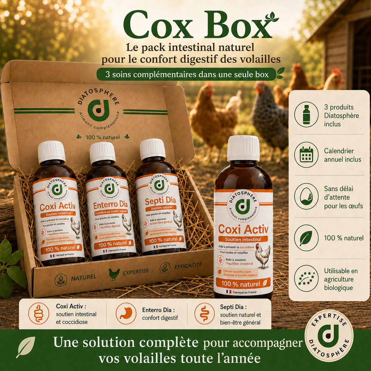 Cox box  produit contre les problème de coccidiose de diarrhèe et contre les bac(èries de la poule