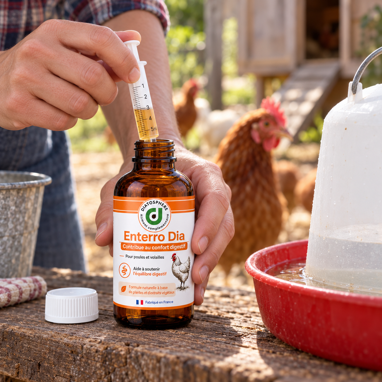 Utilisation Enterro Dia pour poules – dosage dans l’eau de boisson en cas de diarrhée et fientes liquides