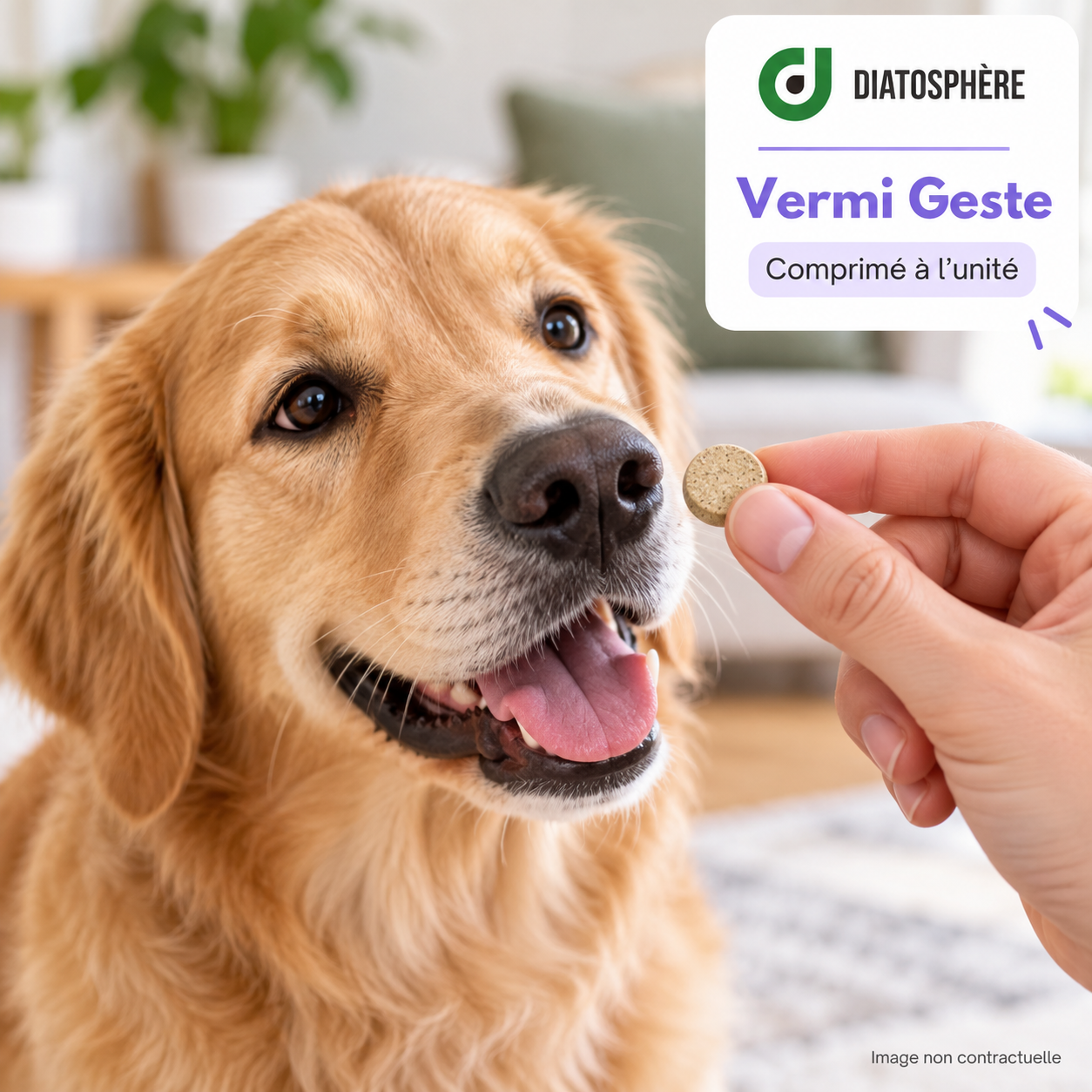 Chien avec comprimé Vermi Geste à l’unité – complément pour hygiène intestinale – Diatosphère