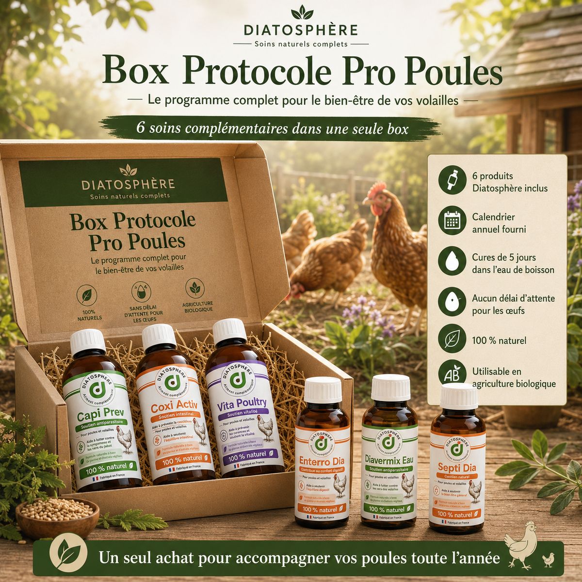 Box Protocole Pro Poules Diatosphère : programme complet de soins naturels pour volailles